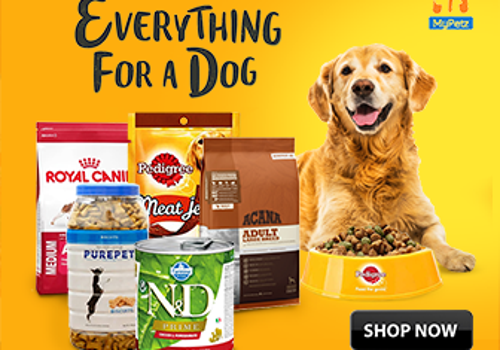 Pay Per Click Package Example: Mypetz SEO & PPC for Pet Care Products & Services