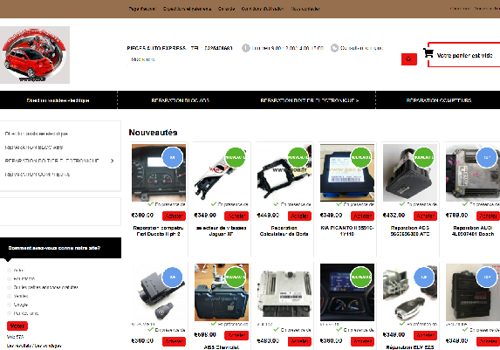 E-Commerce Development Package Example: PIECES AUTO EXPRESS