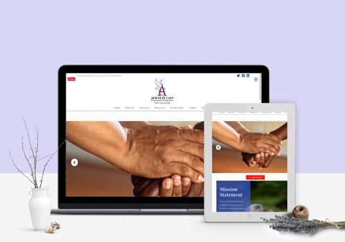 Web Design Package Example: The Absolute Care Team