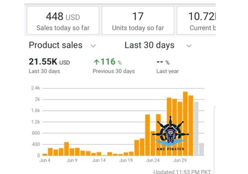 Ecommerce Marketing Package Example: Unleashing Success on Amazon: 21.55K Sales