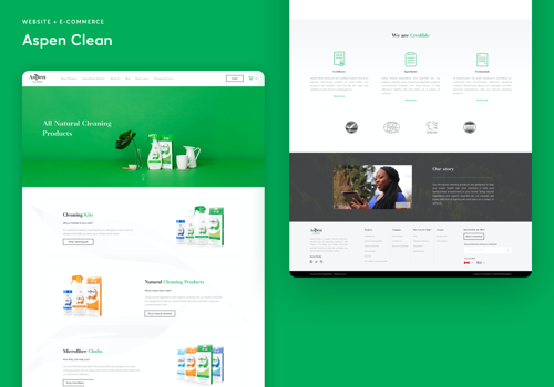 Web Design Package Example: Aspen Clean – eCommerce Design & Branding