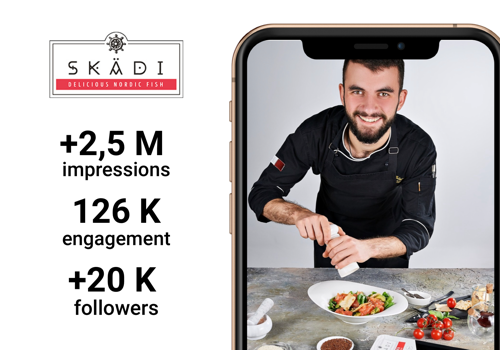 Social Media Marketing Package Example: Skadi social media promotion