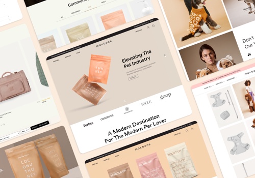 Web Design Package Example: Maxbone