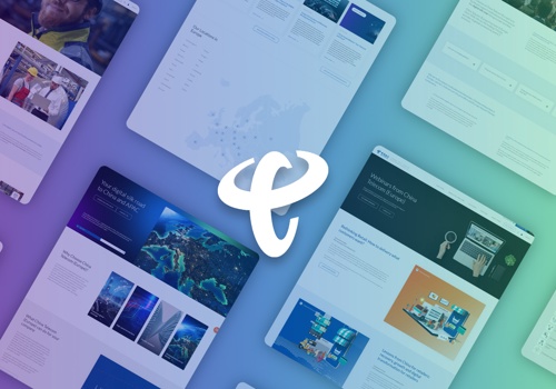 Web Design Package Example: China Telecom Europe