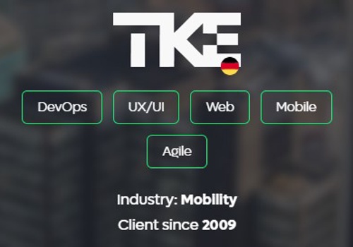 IT Strategy Consulting Package Example: TKE: Revamping systems with a growth approach