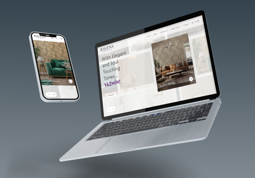 Web Design Package Example: Ravena / Concept Web Design