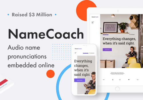 Custom Software Development Package Example: NameCoach