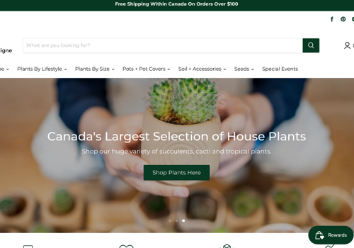 Web Design Package Example: Shopify Website Design: Online Plant Retailer