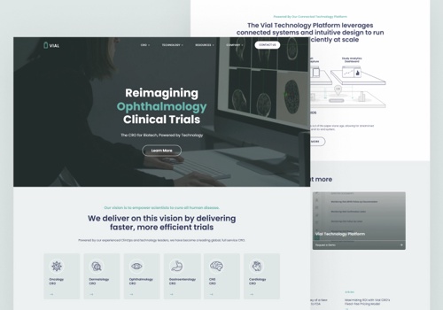Web Development Package Example: Vial - Revamp & Continuous Partnership
