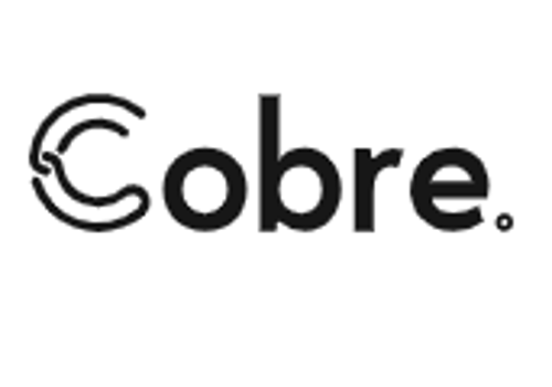 Staffing Package Example: Headhunting around the American Continent