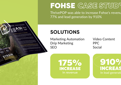 Digital Strategy Package Example: Lead Generation