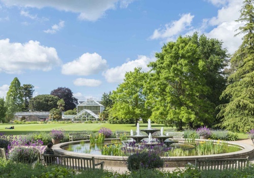 Web Design Package Example: A design to immerse users in the beauty of nature