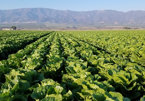 Cloud Consulting & SI Package Example: Put Security First With Review Alongside ZAG