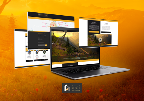 Web Design Package Example: Custom Laravel Website & Dynamic Web App