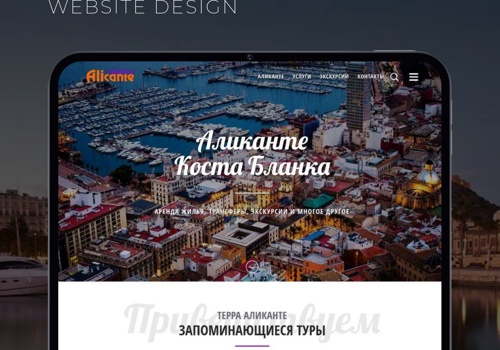 Web Design Package Example: Terra Alicante website design and Development