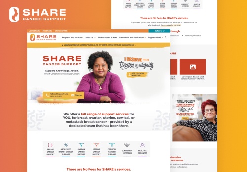 Web Design Package Example: WordPress Website Rebuild for a National Nonprofit