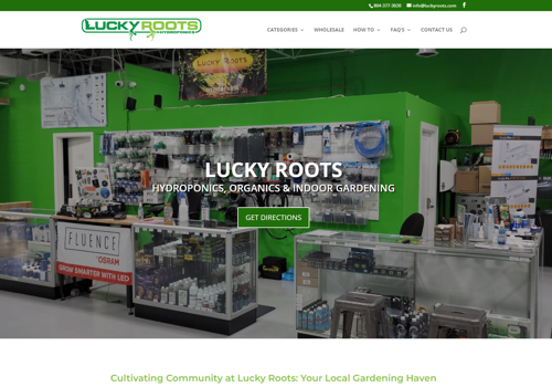 Search Engine Optimization Package Example: Lucky Roots