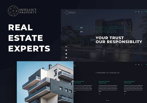 Web Design Package Example: Intellect property