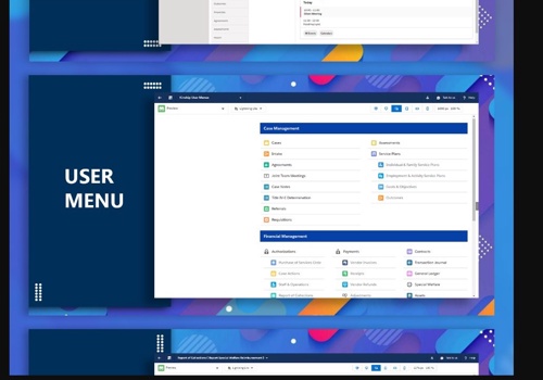 CRM Consulting and SI Package Example: Kinhip Avonni Designs