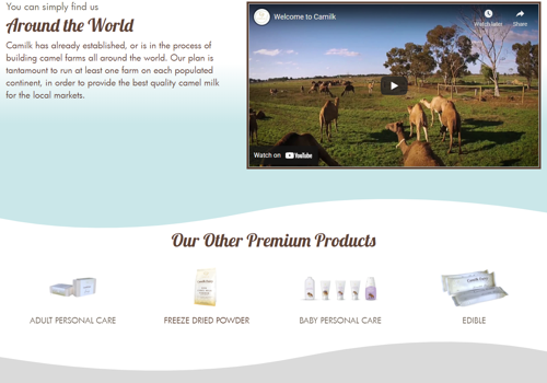 E-Commerce Development Package Example: Shopify Website Development