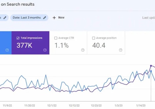 Search Engine Optimization Package Example: eCommerce Website Stats (Within 3 Months)
