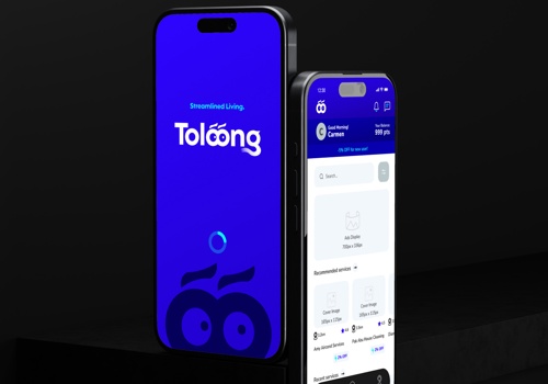 Logo Package Example: Toloong
