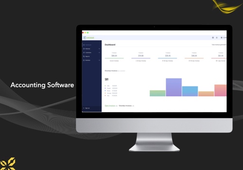 Custom Software Development Package Example: Accounting Software