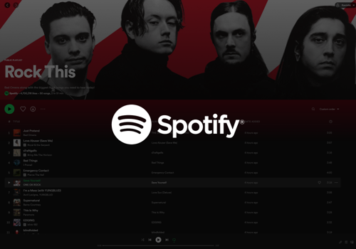 Social Media Marketing Package Example: Spotify