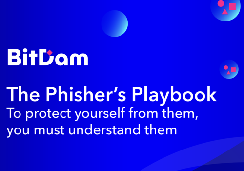 Content Marketing Package Example: Phishing e-Book