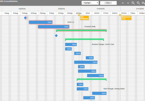 Custom Software Development Package Example: Gantt Chart we've developed for a large-scale PPM tool