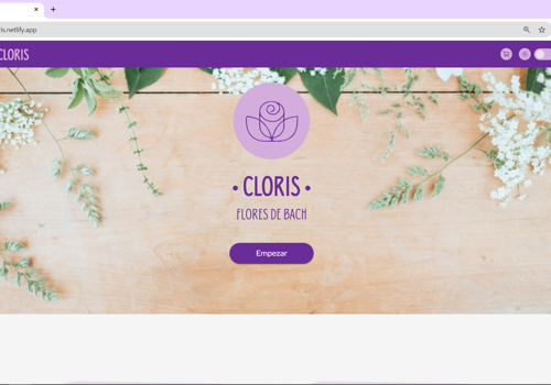 Web Design Package Example: Website "Cloris"