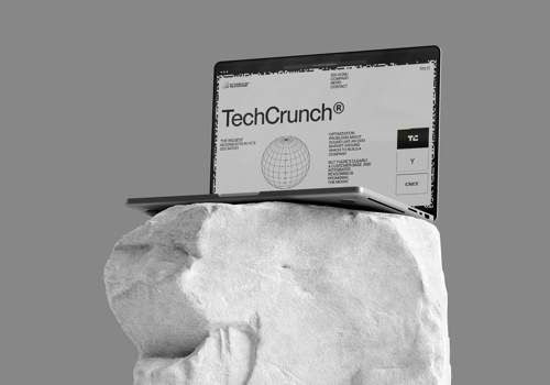 Branding Package Example: Integrated Reasoning Branding + Website