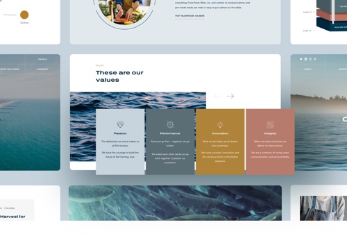 Web Design Package Example: Atlantic Sapphire – Web for a sustainable company