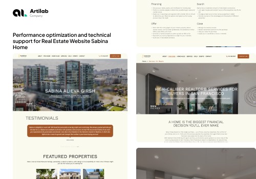 Custom Software Development Package Example: Performance optimization and technical support