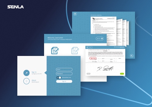 Custom Software Development Package Example: Insurance document processing system