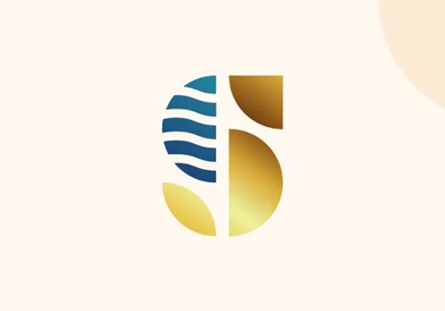 Web Design Package Example: Seabedee - E Commerce Website Design