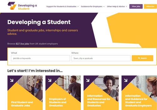 Application Testing Package Example: Automation & Manual Testing of Web Application