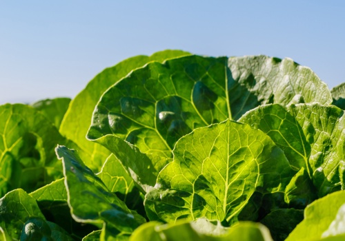 Cybersecurity Package Example: Uncovered Hidden Vulnerabilities In IT Ecosystem