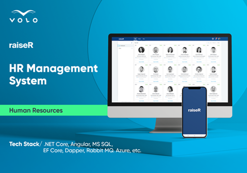 Custom Software Development Package Example: HR Software Solution