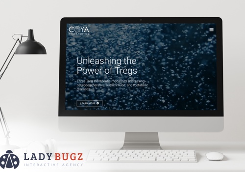 UX/UI Design Package Example: Clinical-Stage Biopharma Website Design
