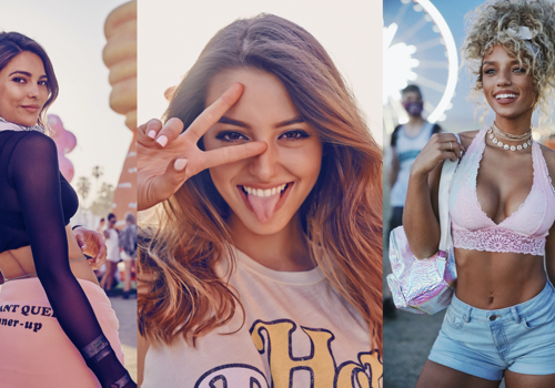 Advertising Package Example: Wild Fox Campaign