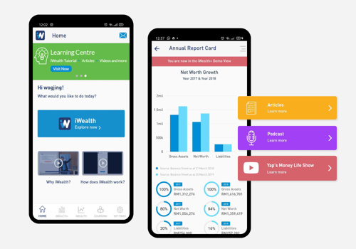 Mobile App Development Package Example: iWealth