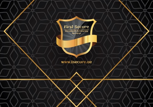 Web Design Package Example: Website Designing for First Secure Company