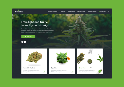 UX/UI Design Package Example: SilverStem — Medical cannabis online store