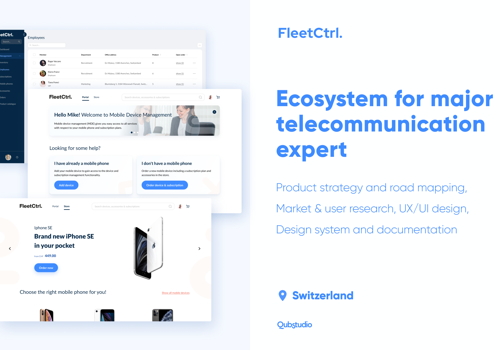 UX/UI Design Package Example: FleetCtrl.