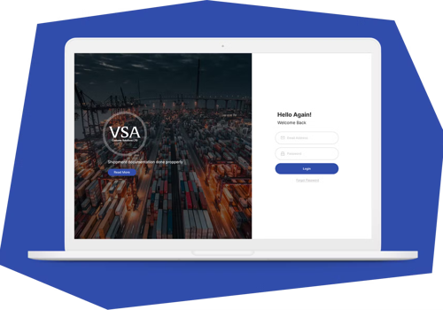 Web Development Package Example: VSA Customs