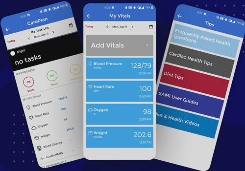IT Staff Augmentation Package Example: Remote Patient Monitoring Software