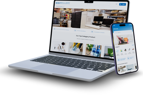 Custom Software Development Package Example: B2B E-Commerce Platform for Bulk Office Supplies