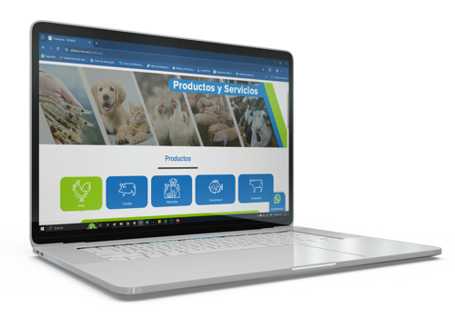 Web Design Package Example: AB WISE