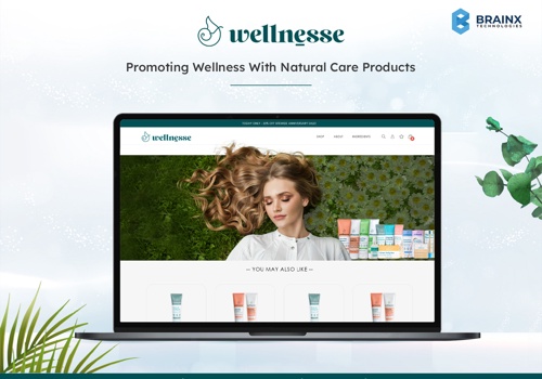 E-Commerce Development Package Example: Wellnesse